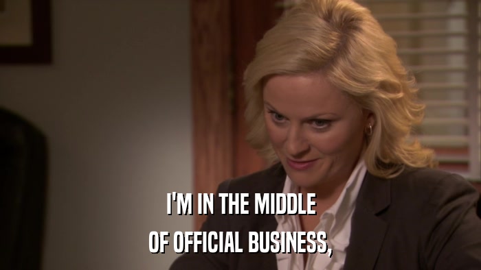I'M IN THE MIDDLE OF OFFICIAL BUSINESS, 