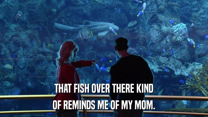 THAT FISH OVER THERE KIND OF REMINDS ME OF MY MOM. 