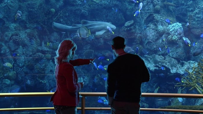 THAT FISH OVER THERE KIND OF REMINDS ME OF MY MOM. 