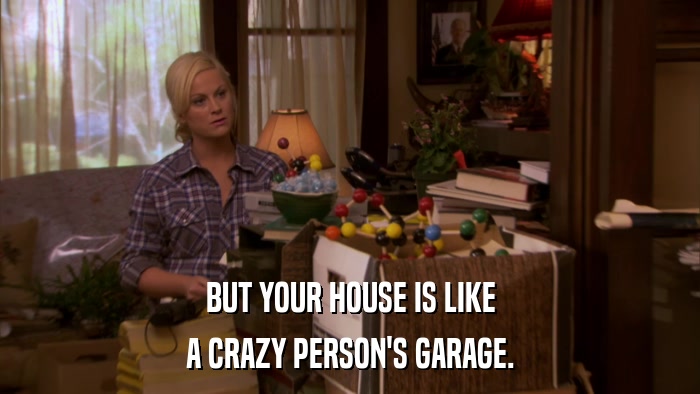 BUT YOUR HOUSE IS LIKE A CRAZY PERSON'S GARAGE. 