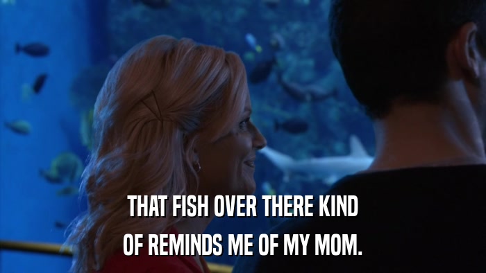 THAT FISH OVER THERE KIND OF REMINDS ME OF MY MOM. 