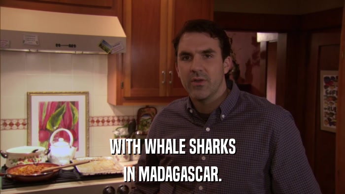 WITH WHALE SHARKS IN MADAGASCAR. 