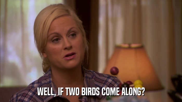 WELL, IF TWO BIRDS COME ALONG?  