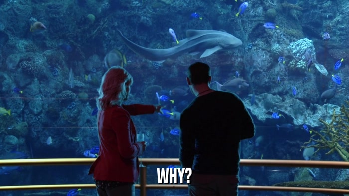 WHY?  
