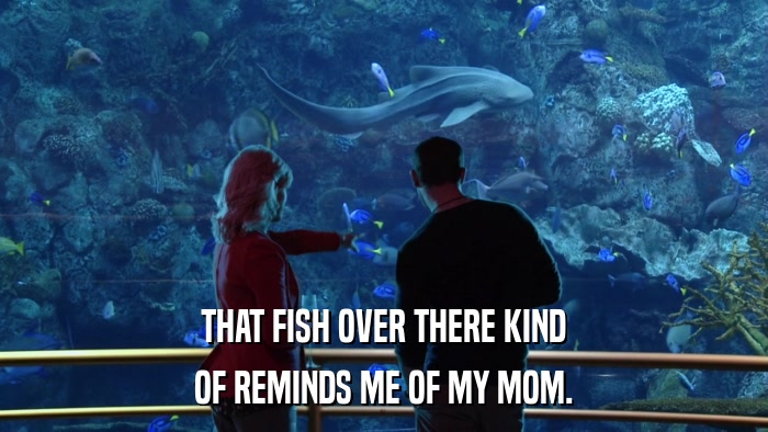 THAT FISH OVER THERE KIND OF REMINDS ME OF MY MOM. 