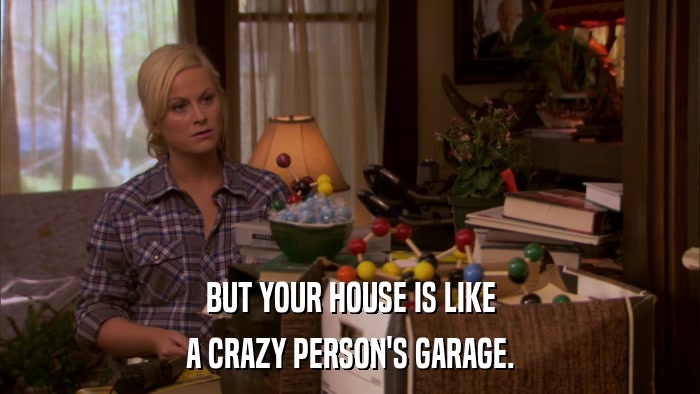 BUT YOUR HOUSE IS LIKE A CRAZY PERSON'S GARAGE. 