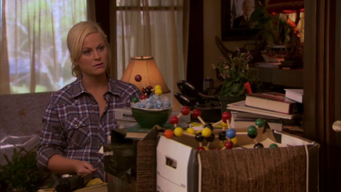 BUT YOUR HOUSE IS LIKE A CRAZY PERSON'S GARAGE. 