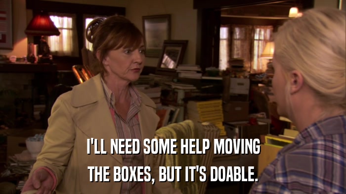 I'LL NEED SOME HELP MOVING THE BOXES, BUT IT'S DOABLE. 