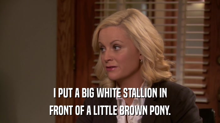 I PUT A BIG WHITE STALLION IN FRONT OF A LITTLE BROWN PONY. 