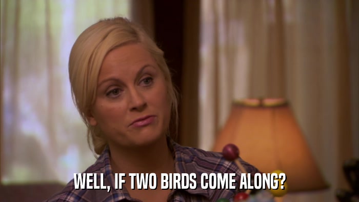 WELL, IF TWO BIRDS COME ALONG?  