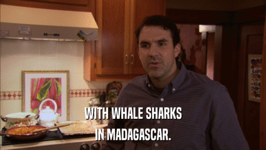 WITH WHALE SHARKS IN MADAGASCAR. 