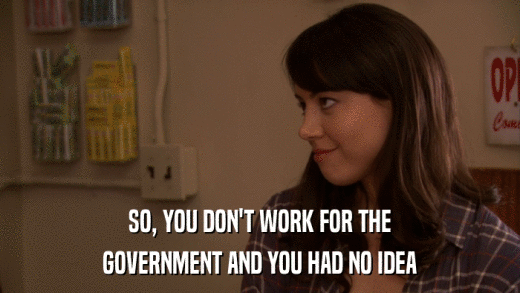 SO, YOU DON'T WORK FOR THE GOVERNMENT AND YOU HAD NO IDEA 