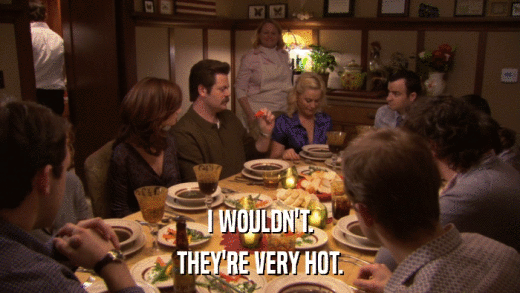 I WOULDN'T. THEY'RE VERY HOT. 