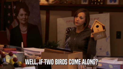 WELL, IF TWO BIRDS COME ALONG?  