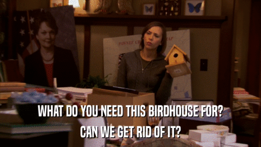 WHAT DO YOU NEED THIS BIRDHOUSE FOR? CAN WE GET RID OF IT? 