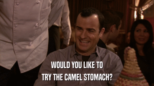 WOULD YOU LIKE TO TRY THE CAMEL STOMACH? 