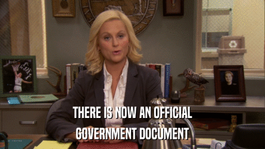 THERE IS NOW AN OFFICIAL GOVERNMENT DOCUMENT 