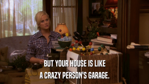 BUT YOUR HOUSE IS LIKE A CRAZY PERSON'S GARAGE. 