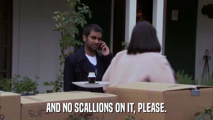 AND NO SCALLIONS ON IT, PLEASE.  