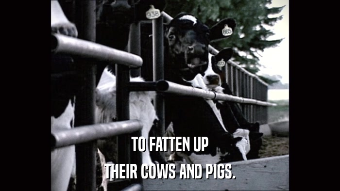 TO FATTEN UP THEIR COWS AND PIGS. 