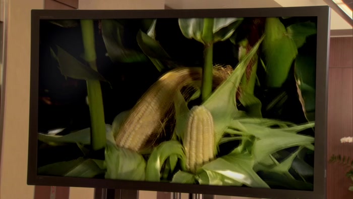 WE START WITH 100% ALL-NATURAL CORN, 