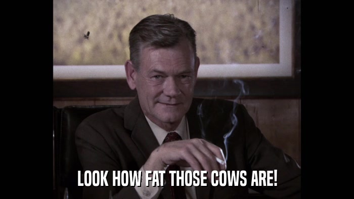 LOOK HOW FAT THOSE COWS ARE!  