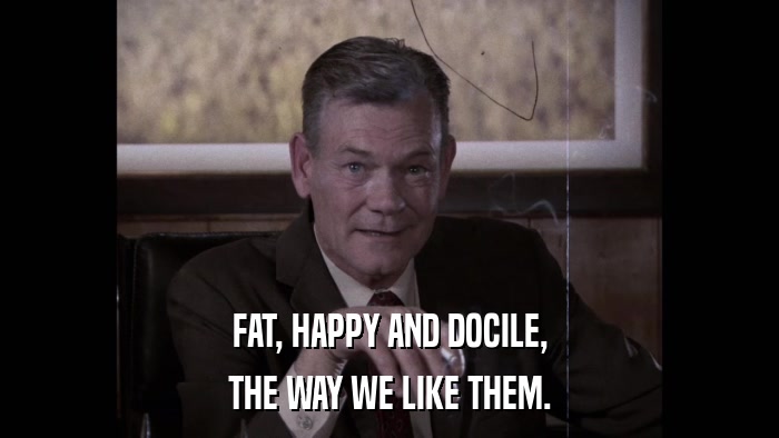 FAT, HAPPY AND DOCILE, THE WAY WE LIKE THEM. 