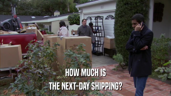 HOW MUCH IS THE NEXT-DAY SHIPPING? 