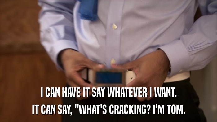 I CAN HAVE IT SAY WHATEVER I WANT. IT CAN SAY, 