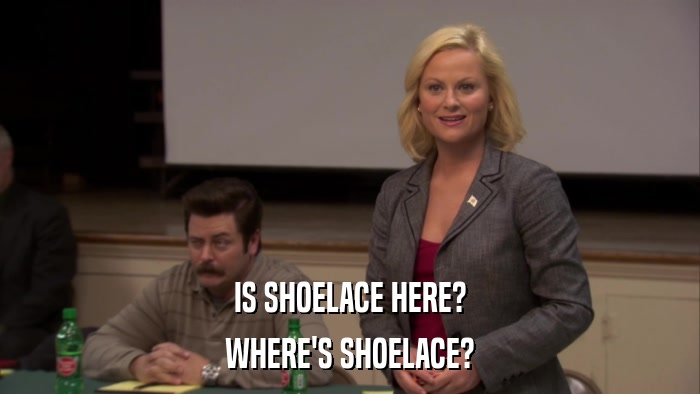 IS SHOELACE HERE? WHERE'S SHOELACE? 