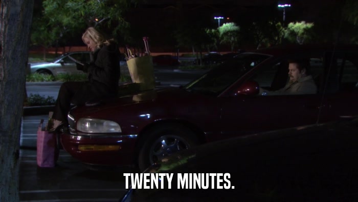 TWENTY MINUTES.  