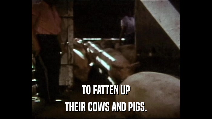 TO FATTEN UP THEIR COWS AND PIGS. 