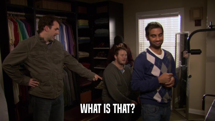 WHAT IS THAT?  