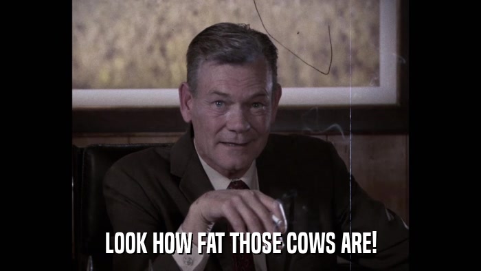 LOOK HOW FAT THOSE COWS ARE!  