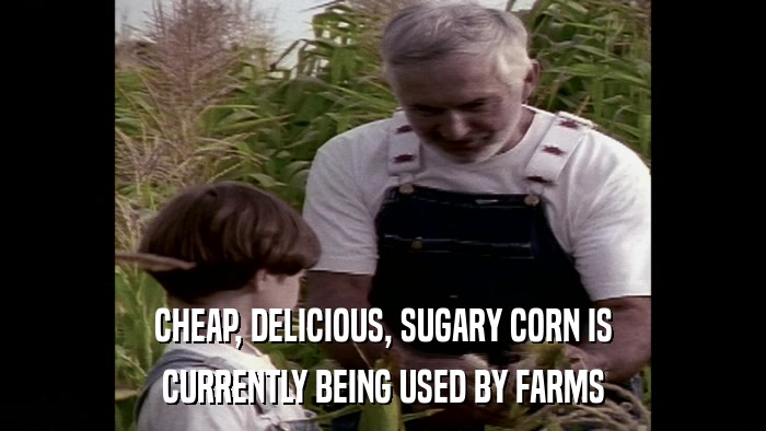 CHEAP, DELICIOUS, SUGARY CORN IS CURRENTLY BEING USED BY FARMS 