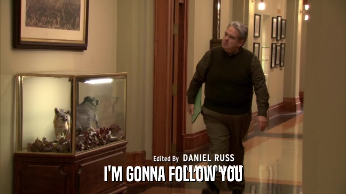 I'M GONNA FOLLOW YOU  
