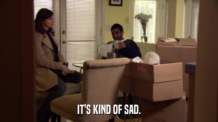 IT'S KIND OF SAD.  