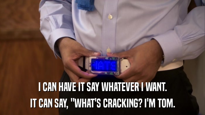 I CAN HAVE IT SAY WHATEVER I WANT. IT CAN SAY, 