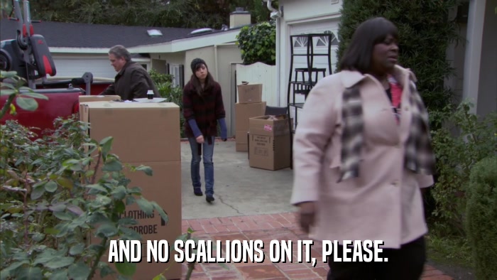 AND NO SCALLIONS ON IT, PLEASE.  