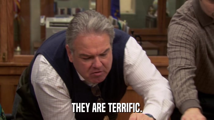 THEY ARE TERRIFIC.  