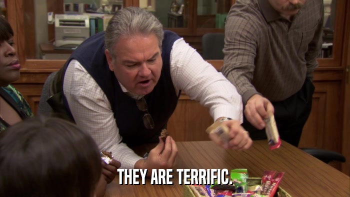THEY ARE TERRIFIC.  