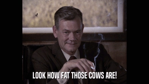 LOOK HOW FAT THOSE COWS ARE!  