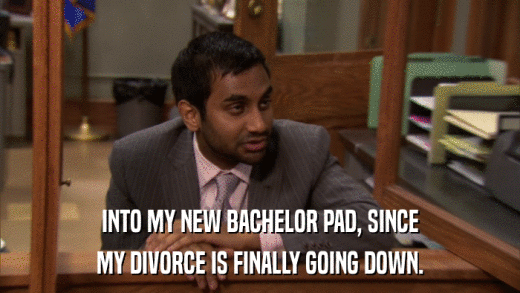 INTO MY NEW BACHELOR PAD, SINCE MY DIVORCE IS FINALLY GOING DOWN. 