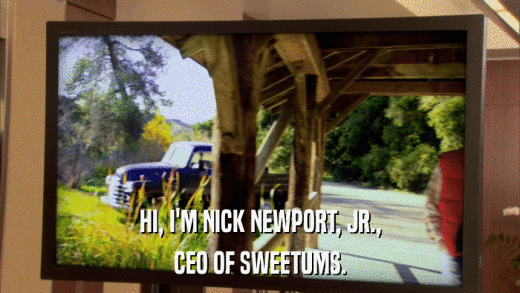 HI, I'M NICK NEWPORT, JR., CEO OF SWEETUMS. 