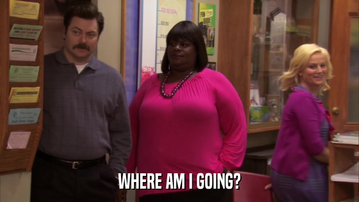 WHERE AM I GOING?  