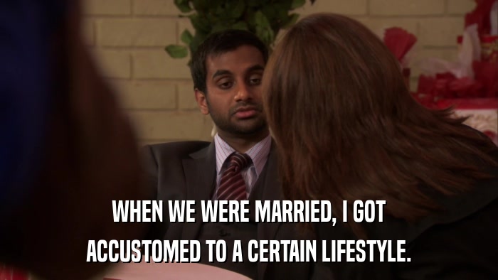 WHEN WE WERE MARRIED, I GOT ACCUSTOMED TO A CERTAIN LIFESTYLE. 