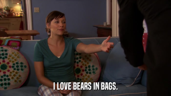 I LOVE BEARS IN BAGS.  