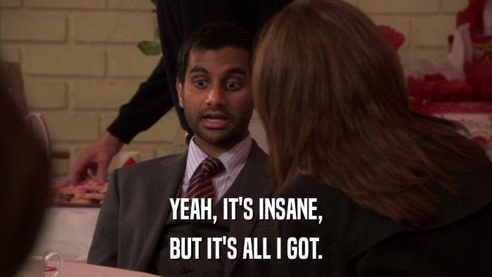 YEAH, IT'S INSANE, BUT IT'S ALL I GOT. 