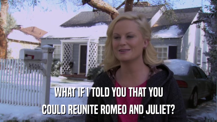 WHAT IF I TOLD YOU THAT YOU COULD REUNITE ROMEO AND JULIET? 