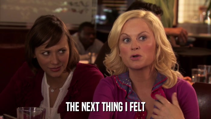 THE NEXT THING I FELT  